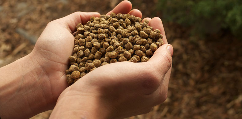 fish_feed_pellet