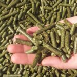 livestock feed pellet