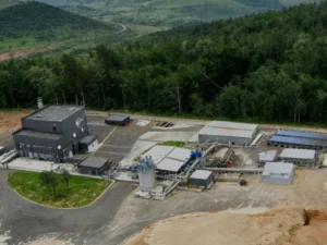 Pelletizer Machine for Sale South Africa: Powering Local Biomass and Feed Industries